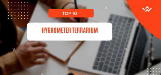 Hygrometer Terrarium