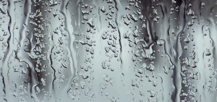Prowin-Window-Wonder-erfahrungen-von-kunden