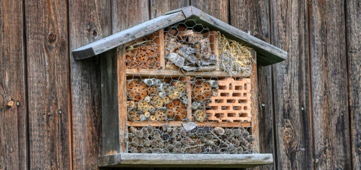 Insektenhotel-kaufen