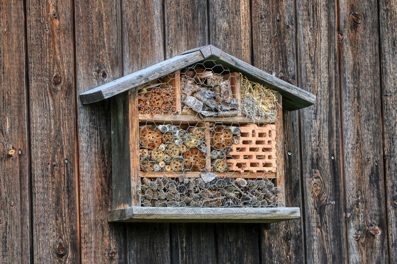 Insektenhotel-kaufen